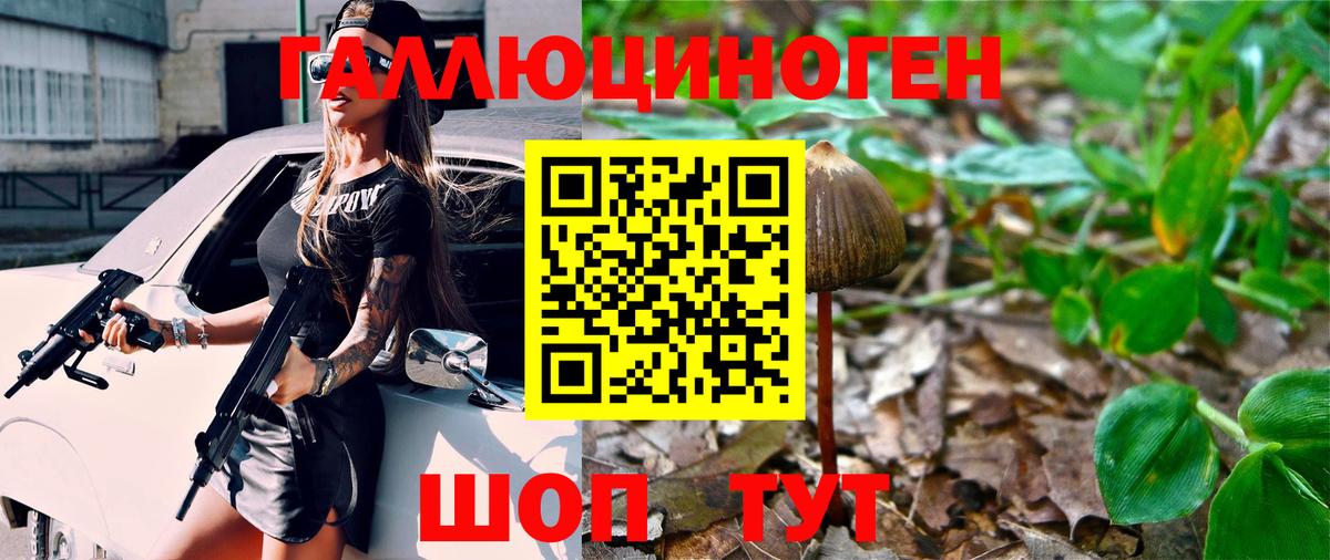 Конаково  Галлюциногенные грибы Cubensis  Вход с VPN 